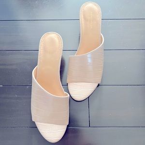 Brand New Ann Taylor Wedges